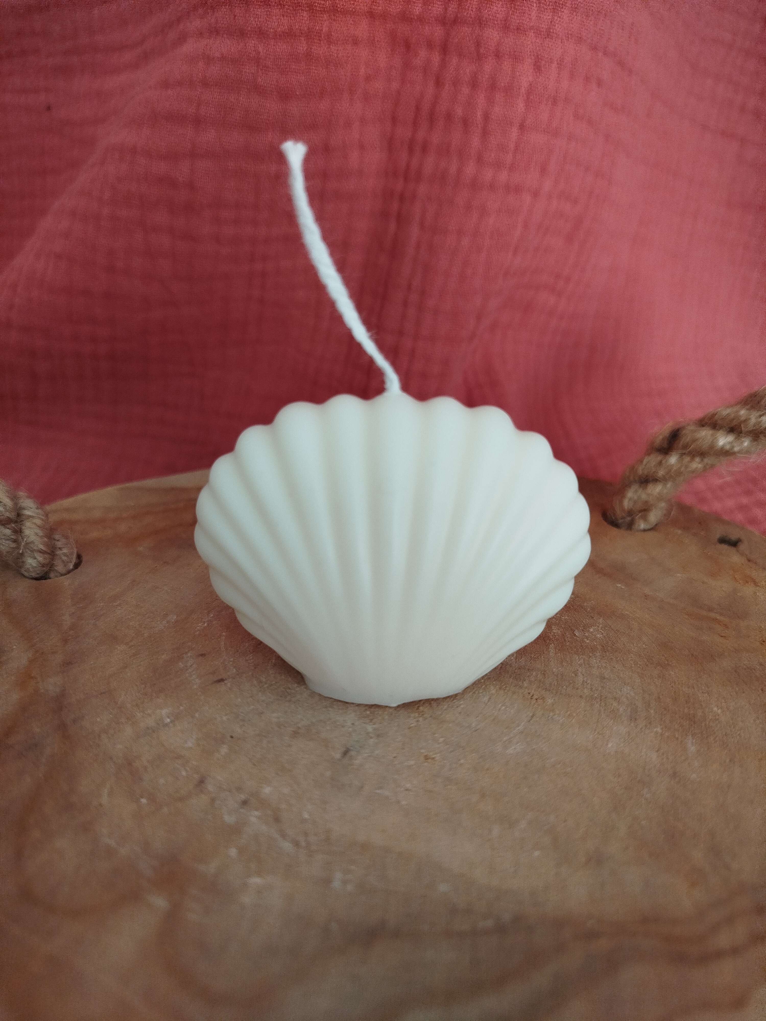 Coquillage