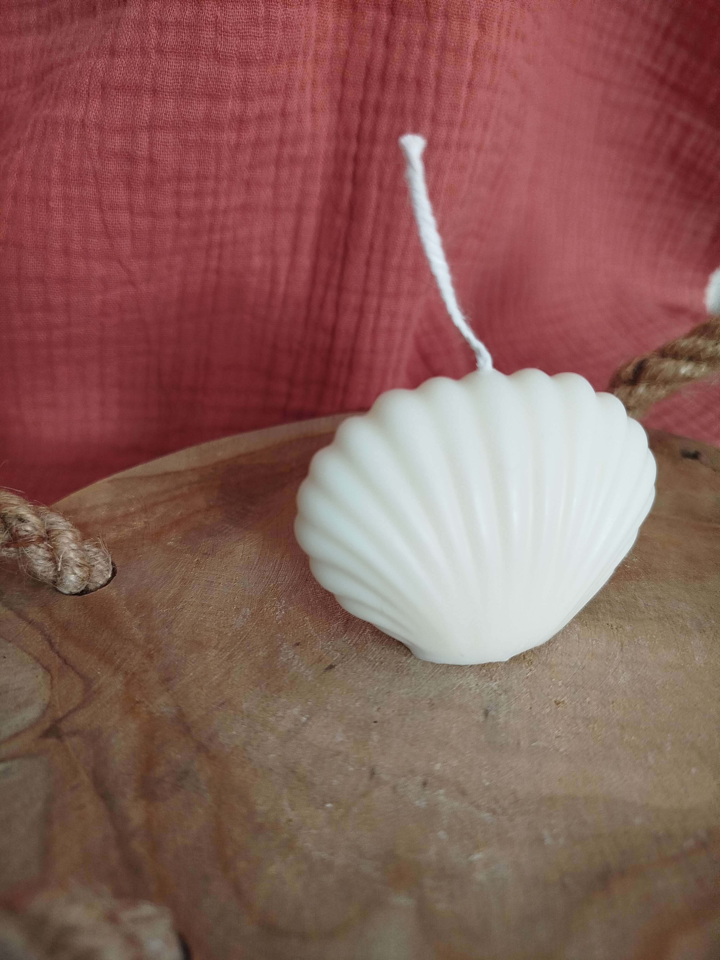 Coquillage - Vue supplémentaire 1