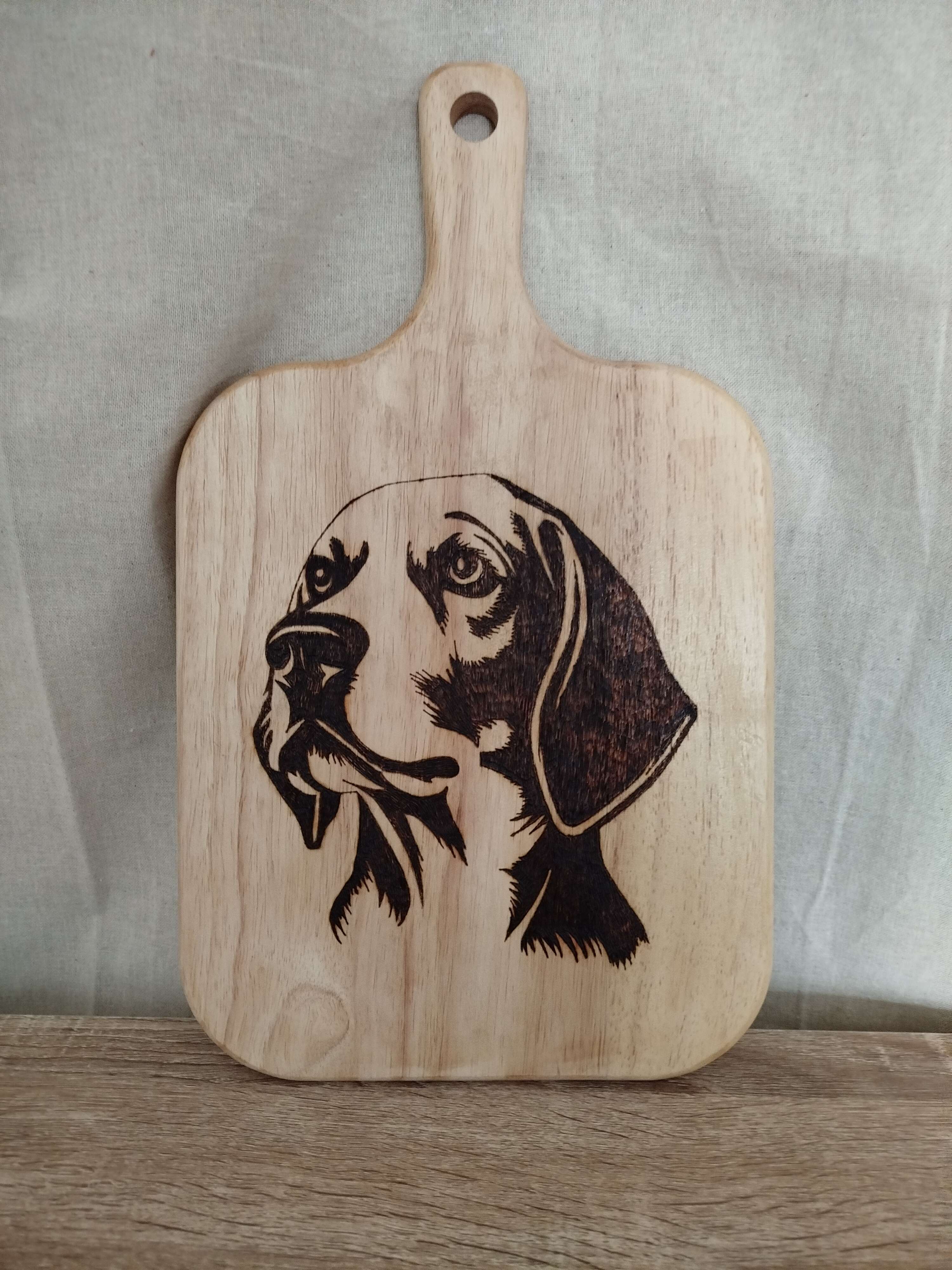 Tête d'un chien Beagle