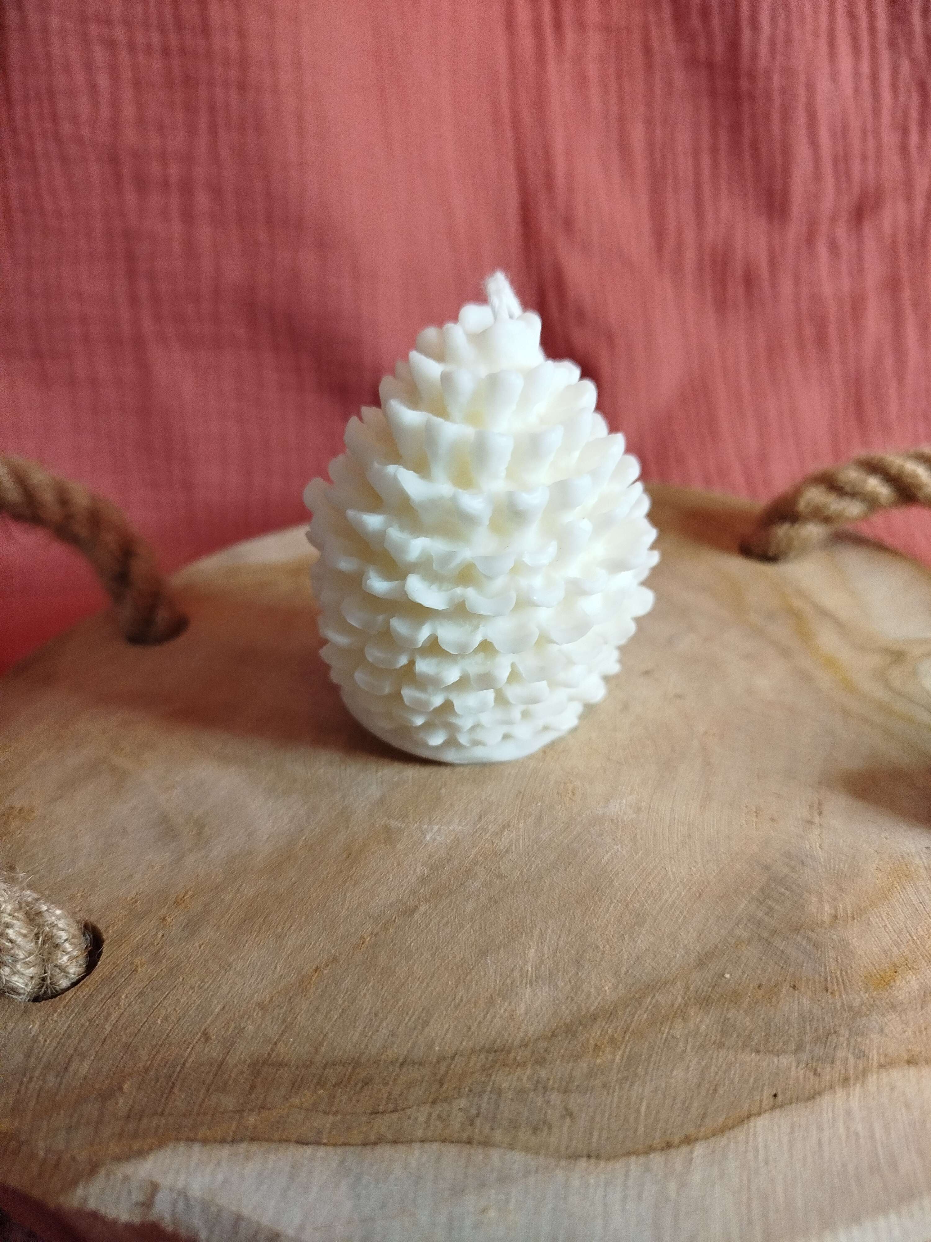 Bougie Pomme de pin Cannelle Orange