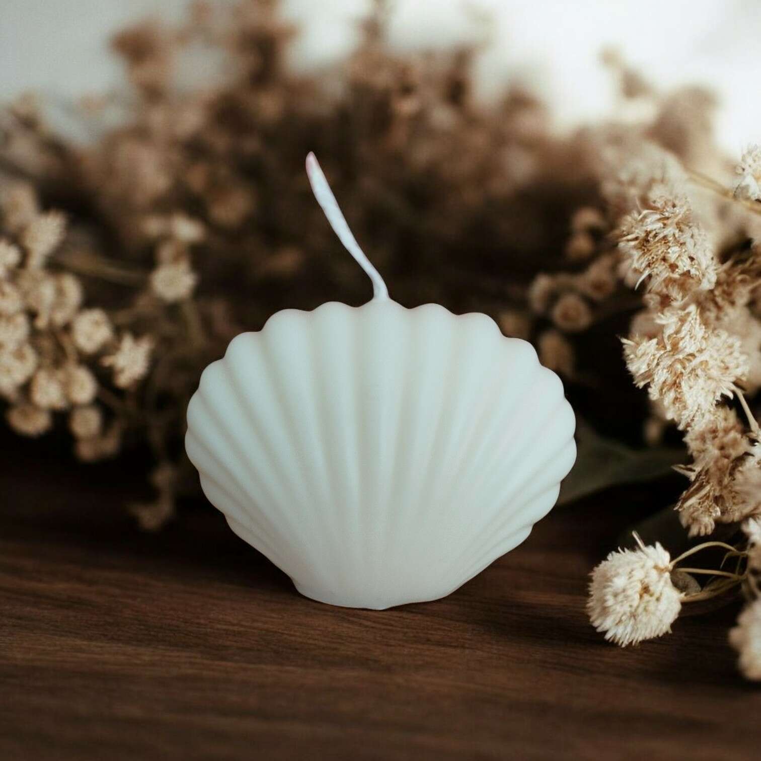 Bougie Coquillage