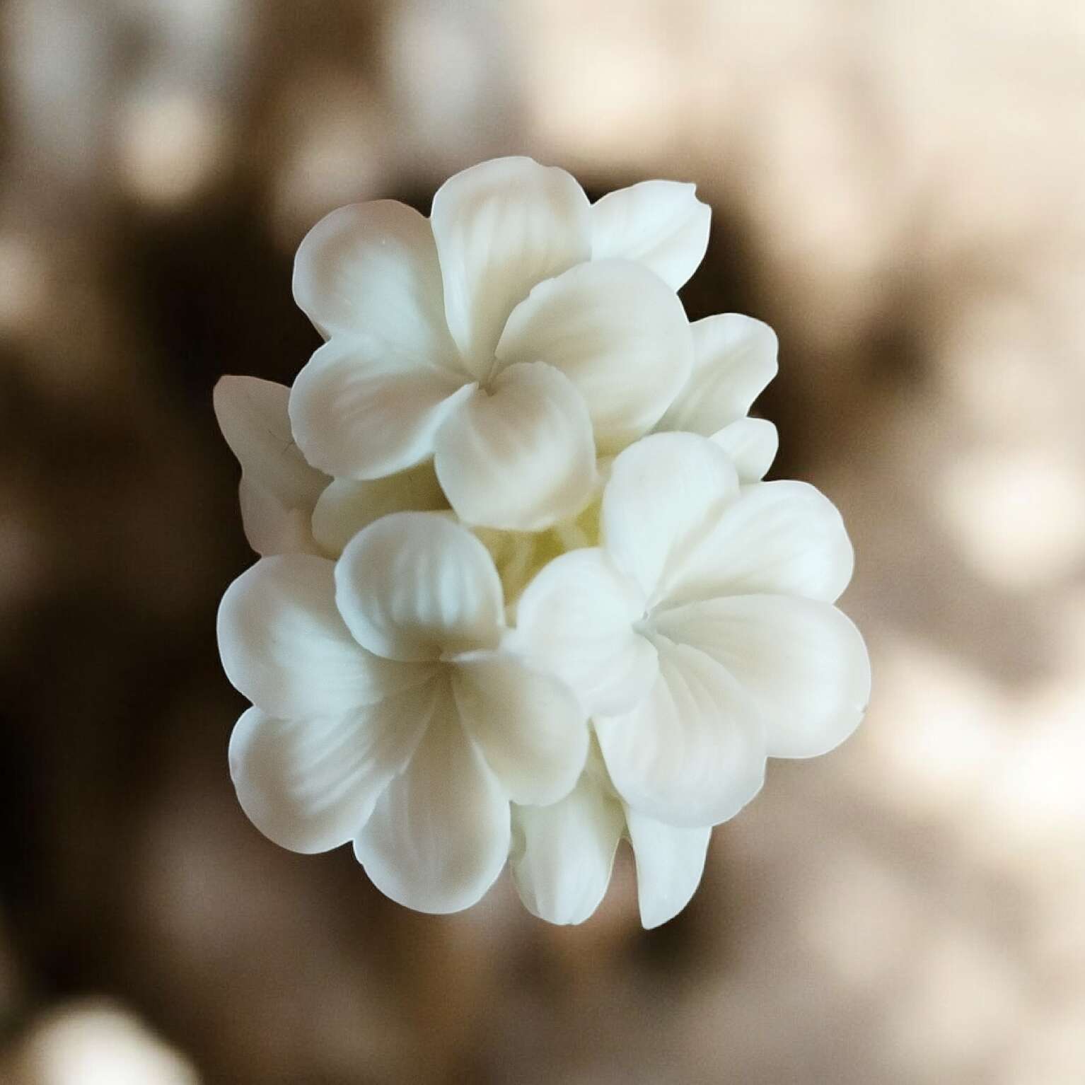Fondant Fleur Japonaise